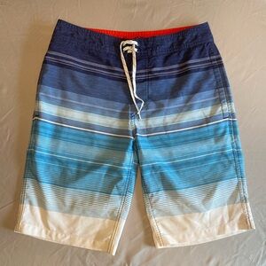 Striped Swim Shorts from Goodfellow & Co Size 28" Waist